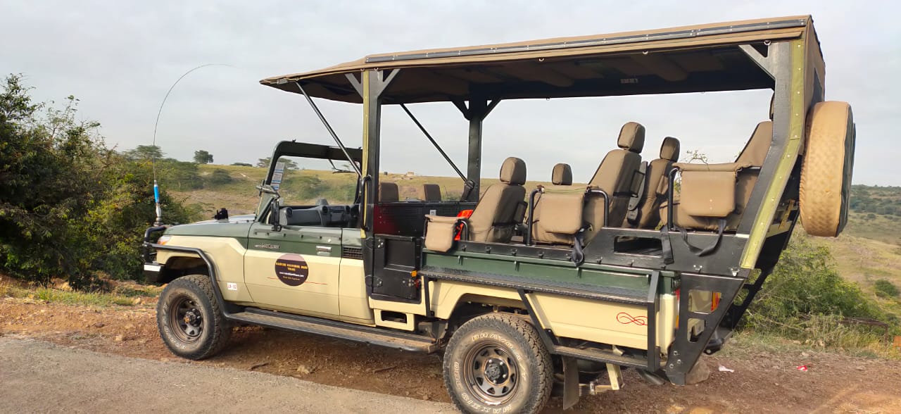 Nairobi National Park tour with open 4x4 safari jeep experience