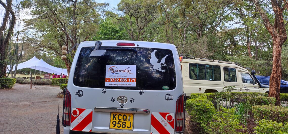 Nairobi Layover safari tour